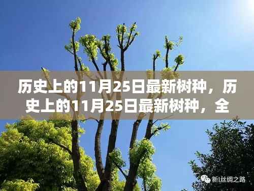 历史上的11月25日最新树种深度解析,全新特性与用户体验探讨