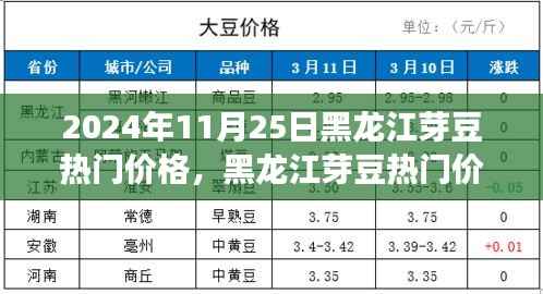 2024年11月25日黑龙江芽豆热门价格走势分析与观察