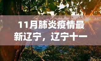 辽宁十一月肺炎疫情下的自然美景探索之旅,寻找内心的宁静与平和