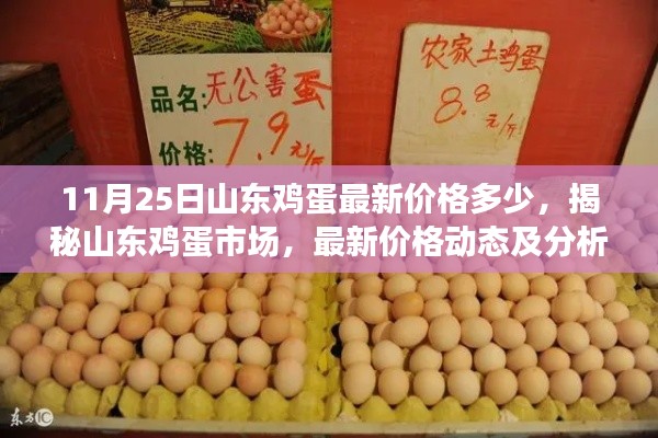 山东鸡蛋市场最新价格动态及分析(截至11月25日)