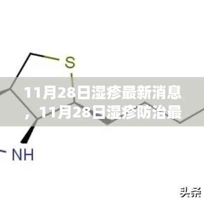 11月28日湿疹防治最新动态指南,全面管理湿疹,掌握应对技能