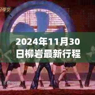 柳岩2024年11月30日行程揭秘,文化与娱乐的盛宴