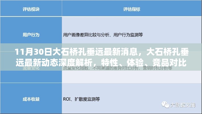大石桥孔垂远最新动态解析,特性、体验、竞品对比与用户洞察