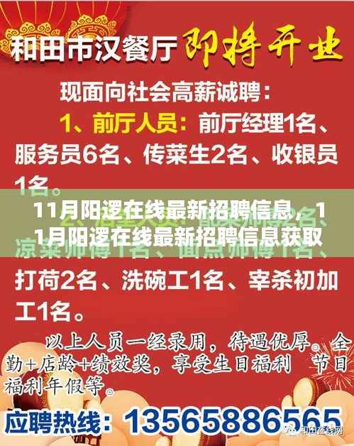 11月阳逻在线最新招聘信息,11月阳逻在线最新招聘信息获取与应聘全攻略——初学者与进阶用户皆宜