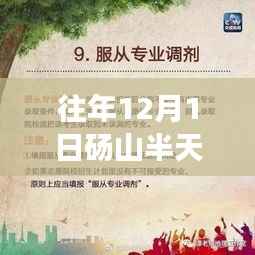 砀山半天班招聘活动回顾,历年盛况一览