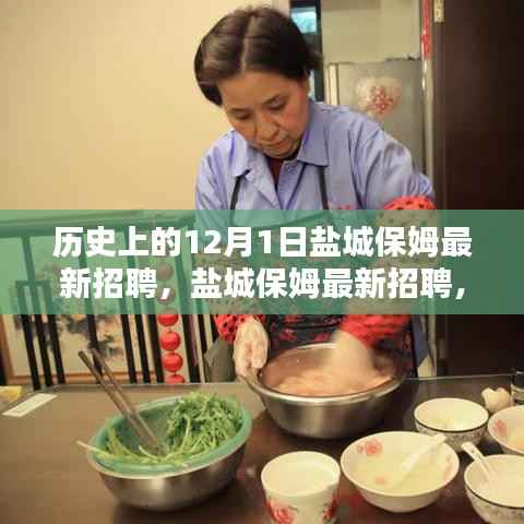 盐城保姆最新招聘深度解析与全面体验报告,历史视角与最新动态观察