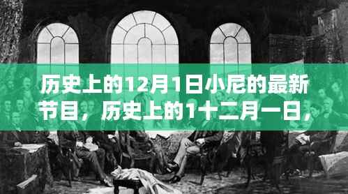 历史上的12月1日小尼节目回顾,掀起热潮的瞬间,小红书重温精彩瞬间