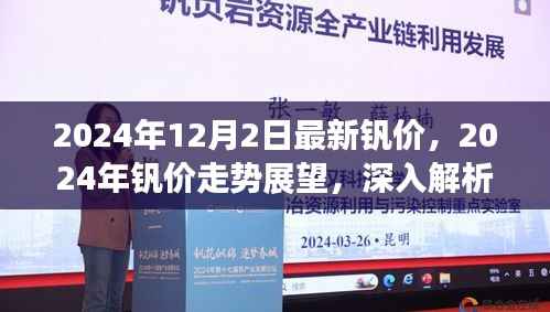 2024年钒价最新动态及未来走势展望,深度解析与观点阐述