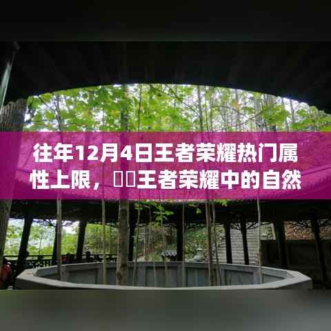 王者荣耀热门属性上限与探索自然美景,内心的平静力量之旅