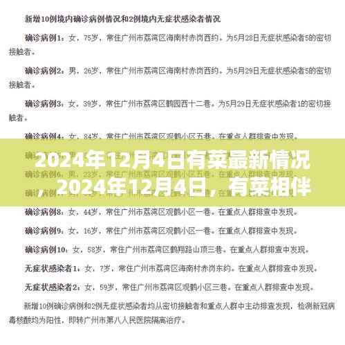 心灵之旅启程,有菜相伴的2024年12月4日最新动态