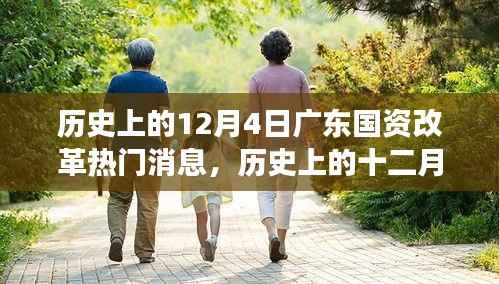 广东国资改革风云际会,历史消息与心灵之旅的交融日(十二月四日)