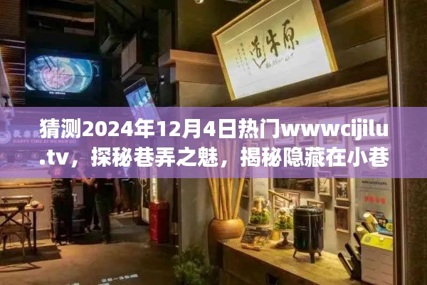 探秘巷弄之魅,揭秘隐藏在小巷深处的特色小店——www.cijilu.tv 2024年热门网站预测!