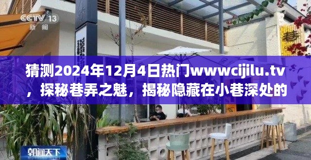 探秘巷弄之魅,揭秘隐藏在小巷深处的特色小店——www.cijilu.tv 2024年热门网站预测!