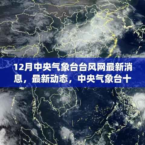 中央气象台最新台风动态,十二月天气预报更新及台风网最新消息