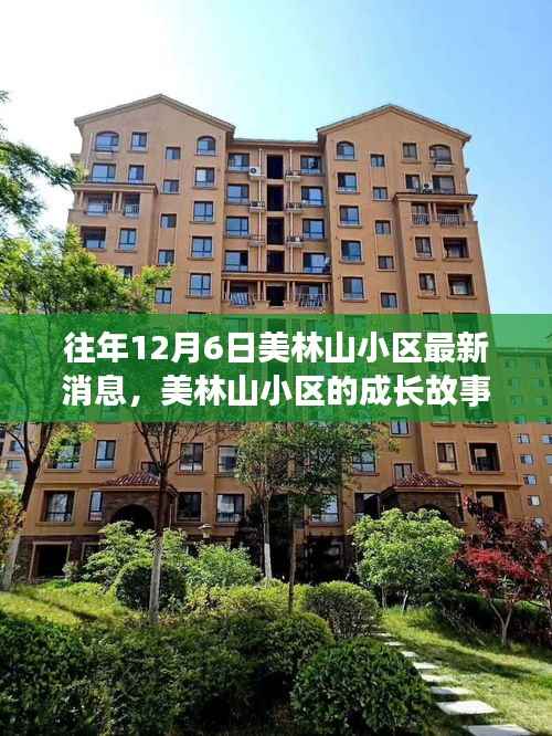 荆钗布裙 第3页