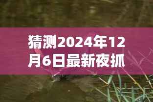 揭秘夜抓黑水鸡的精彩瞬间,探寻最新视频,预测未来事件(日期,2024年12月6日)