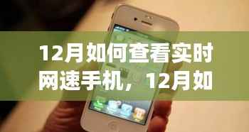 探讨多方观点与个人立场,12月手机实时网速查看方法