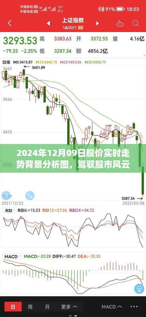 建议,驾驭股市风云,揭秘2024年12月09日股价实时走势背景分析图