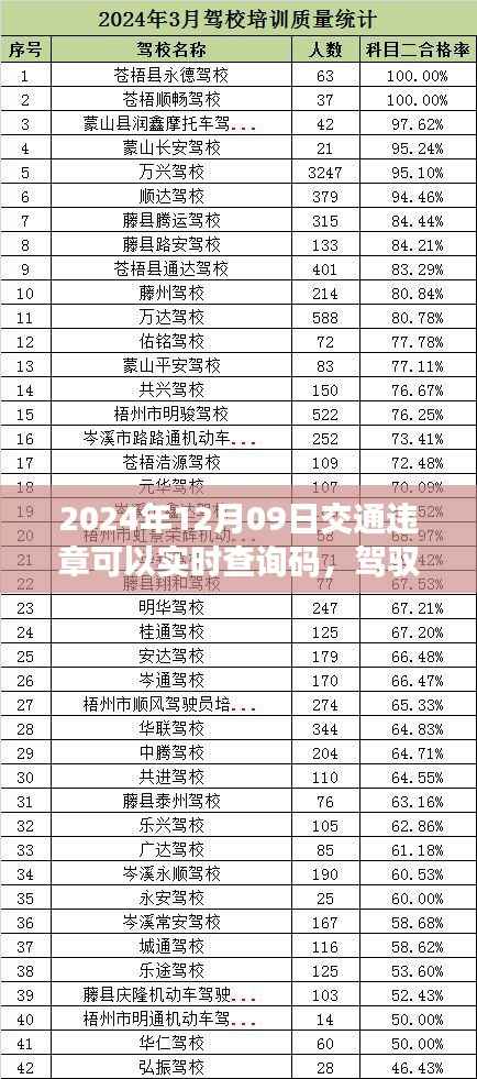 驾驭变化,实时交通违章查询码助力轻松出行