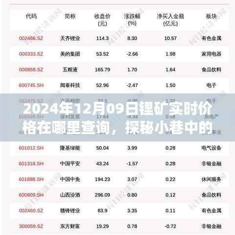 探秘小巷宝藏，锂矿实时价格查询之旅（2024年12月09日）