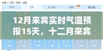 气候变迁下的微观洞察,十二月来宾实时气温预报15天深度解析