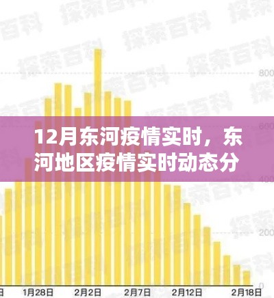 东河地区疫情实时动态分析报告,十二月版全面解析