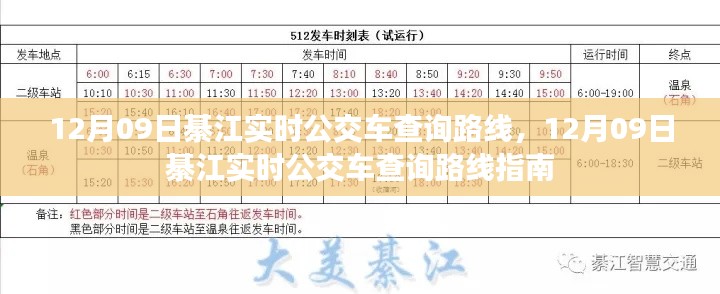 12月09日綦江实时公交车查询路线指南