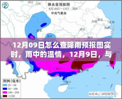 12月9日降雨预报实时查询,雨中温情与舞动的日子