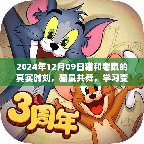 猫和老鼠的真实时刻,学习变革的旋律与自信成就之歌(猫鼠共舞,2024年12月9日)