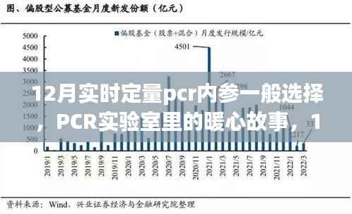 12月PCR实验室内参选择与暖心故事，内参选择的奇妙之旅