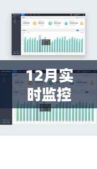 年终收官之作,深度解析12月实时监控报表数据报告