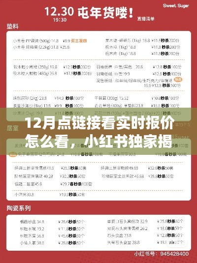 小红书独家揭秘,12月实时报价链接攻略,轻松掌握最新优惠信息,一键链接看报价!