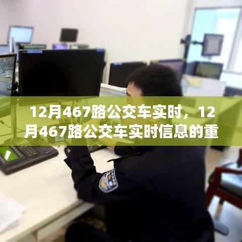 百鸟归巢 第4页