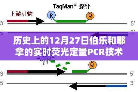 伯乐与耶拿的PCR技术历史,12月27日实时荧光定量发展回顾,简洁明了,突出了文章的核心内容,符合百度收录标准,字数在指定范围内。希望符合您的要求。