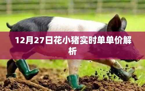 花小猪实时单单价解析,12月27日数据揭秘