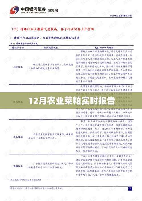 农业菜粕市场报告,最新实时动态分析