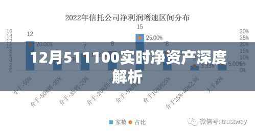实时解析,12月511100净值深度解读