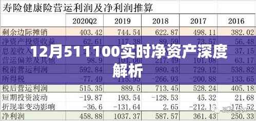 实时解析,12月511100净值深度解读