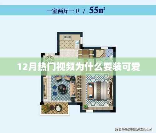 揭秘十二月流行视频背后的可爱元素