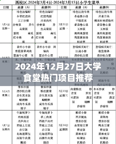 大学食堂热门餐饮项目推荐,2024年12月27日榜单