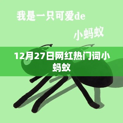 网红小蚂蚁,热门词汇背后的故事