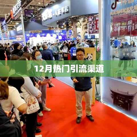 12月最新引流渠道秘籍