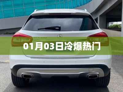 冷爆热门事件揭秘,01月03日独家解析