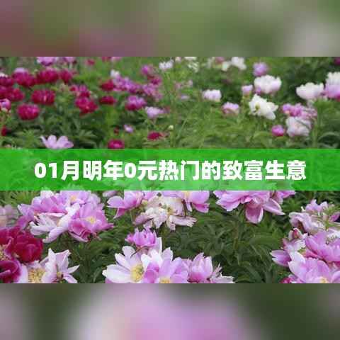 明年元月热门致富生意，零元起步，轻松赚钱！