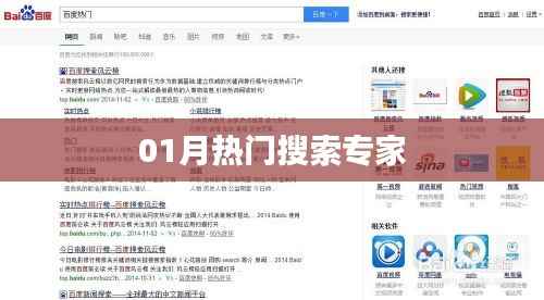 专家解读,热门搜索背后的秘密