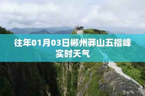郴州莽山五指峰实时天气(往年1月3日)