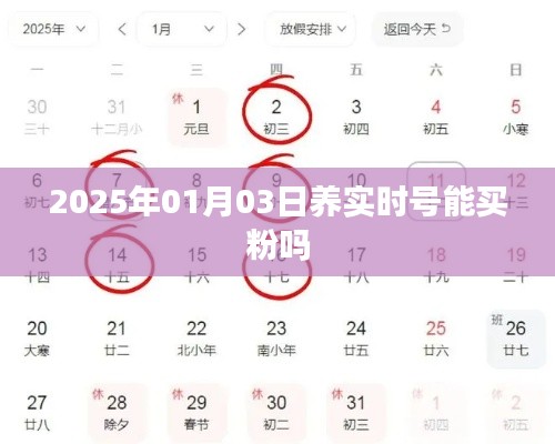实时号买粉指南,2025年养号能否实现买粉增长?