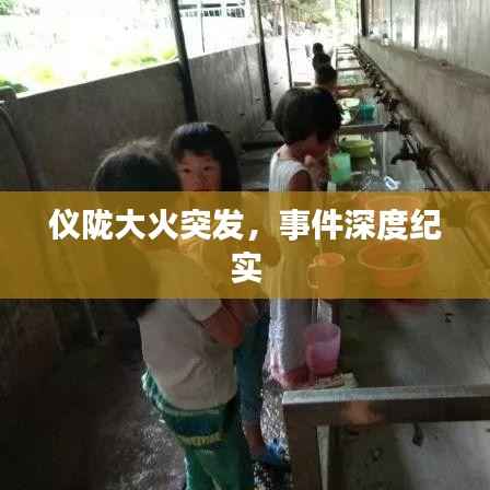 仪陇大火突发,事件深度纪实