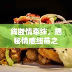 线断情牵绊,揭秘情感纽带之谜