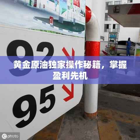 黄金原油独家操作秘籍,掌握盈利先机